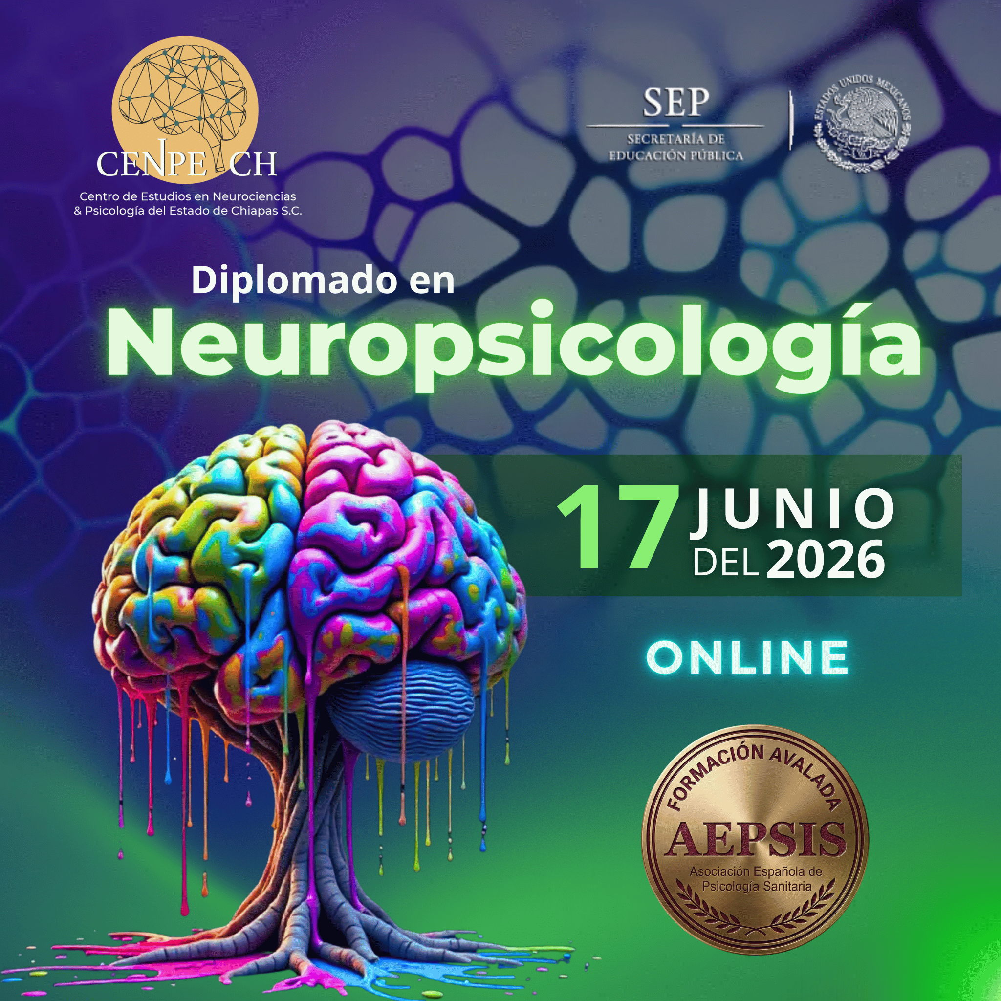 Diplomado En Neuropsicología 17 Junio