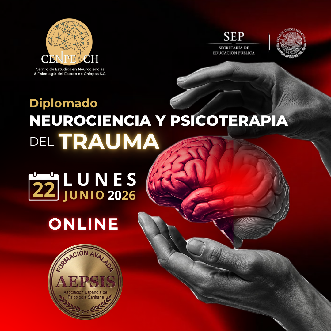 Diplomado En Psicoterapia Del Trauma
