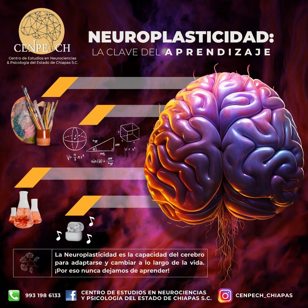 Tu cerebro tiene un poder increíble: adaptarse, aprender y transformarse constantemente. ‎