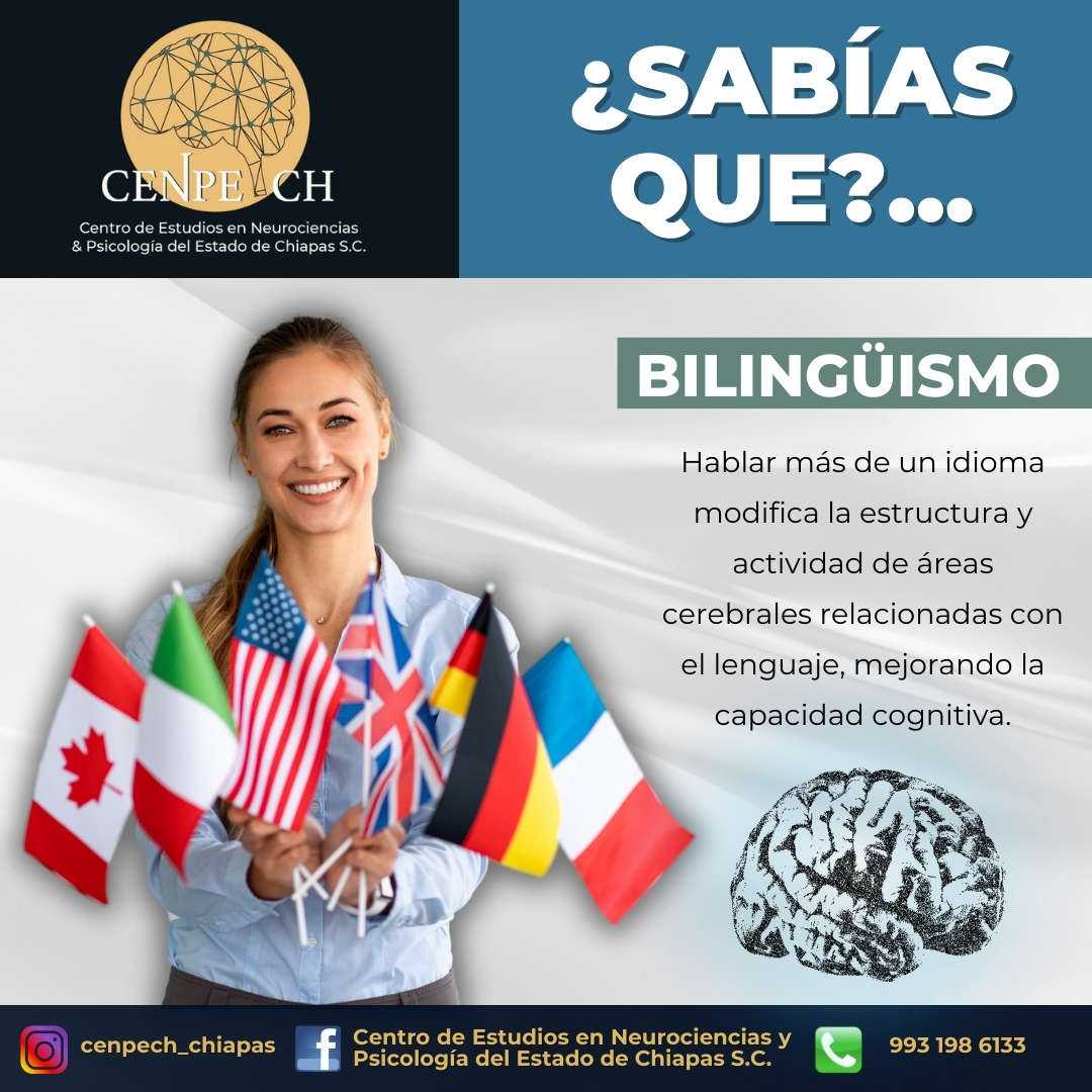 💡 ¿Sabías que?...