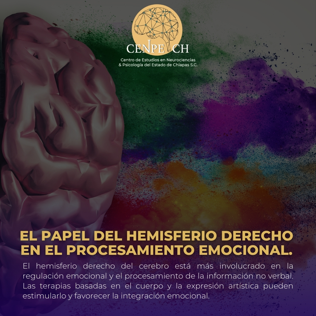 📌 ¿Sabías que tu hemisferio derecho es la clave para sentir ❤️ , crear 🎨 y conectar 🤝 sin palabras?