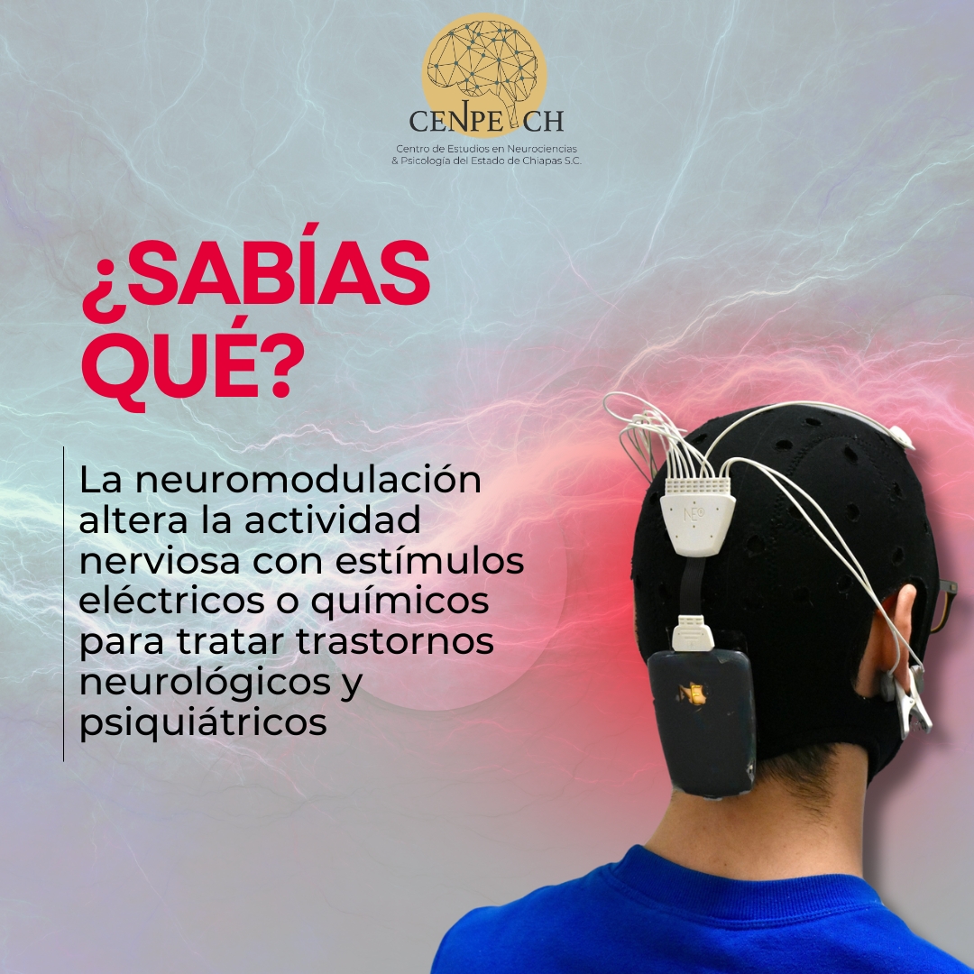 📌 ¿Sabías que…?