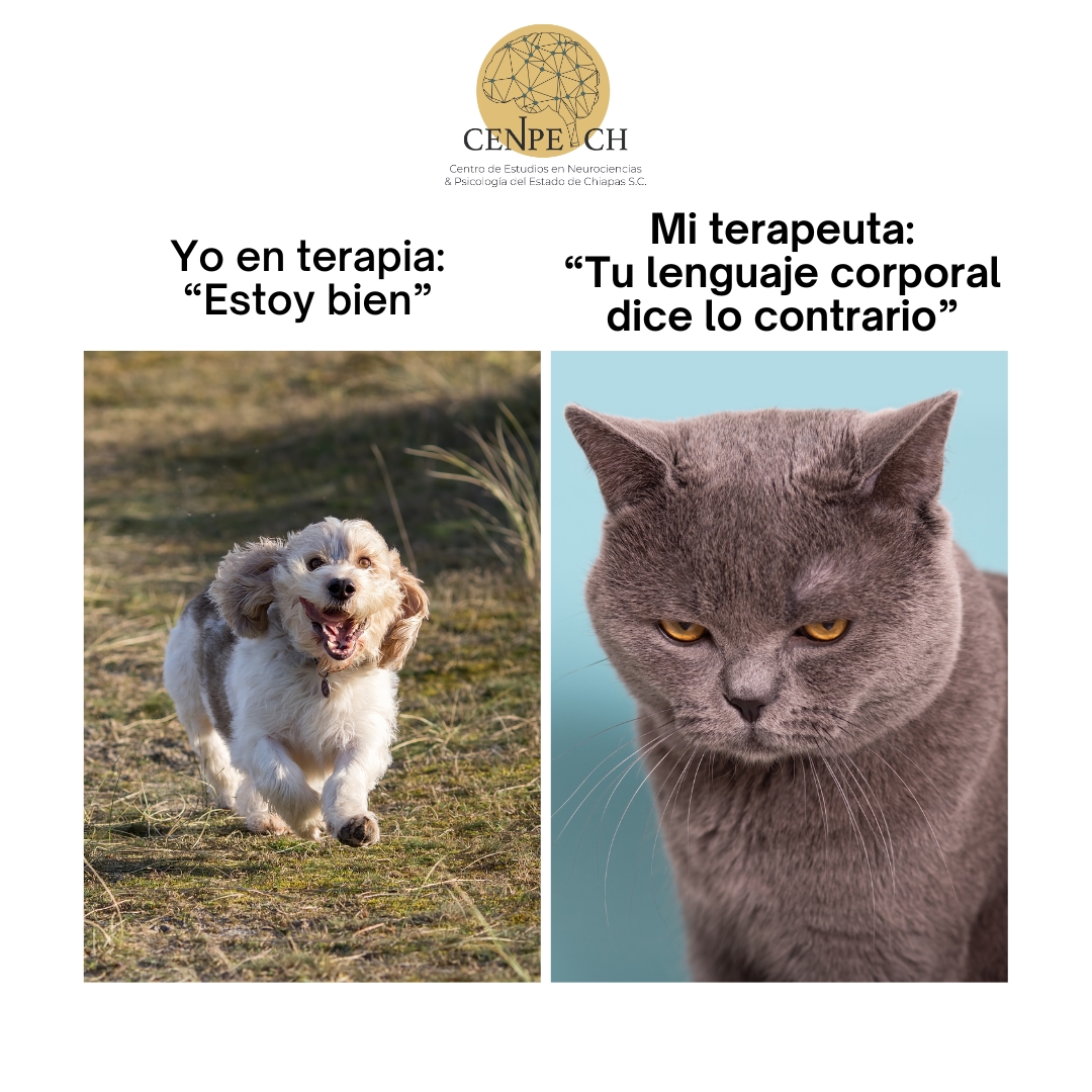 ¡El conocimiento también se disfruta con humor!