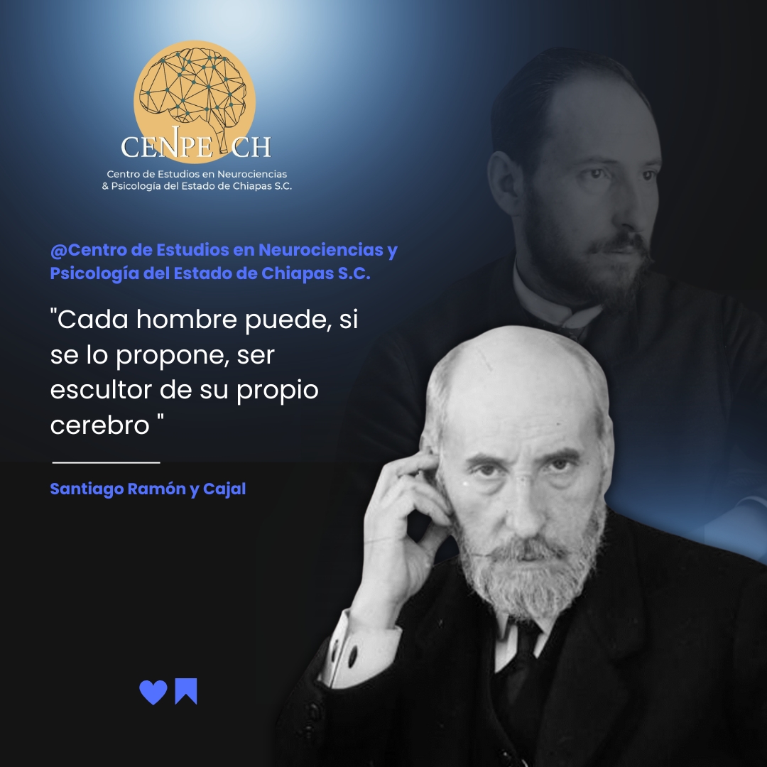 ✨ ¡Nueva sección! ✨