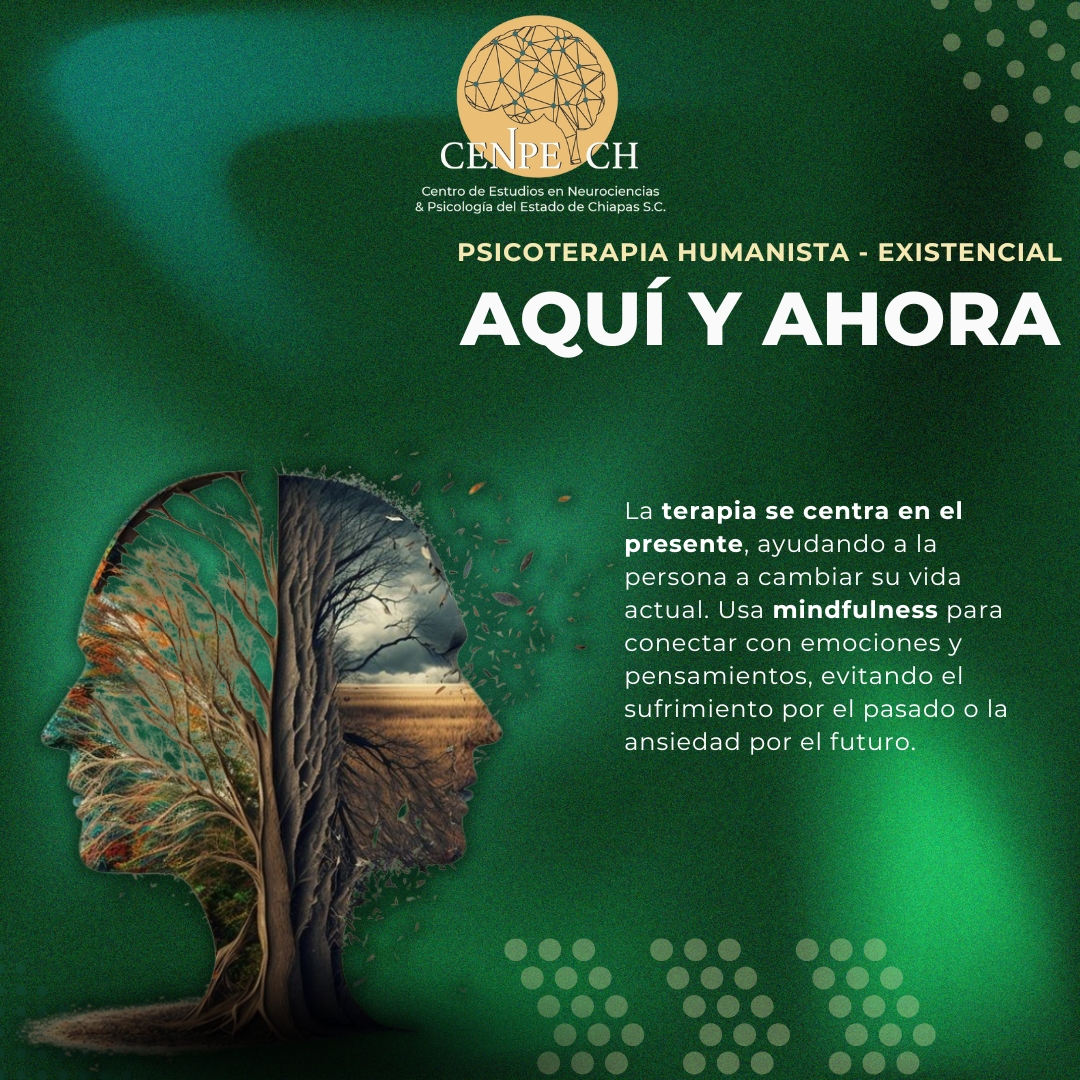 🌿 ¡El poder del aquí y ahora! 🌿