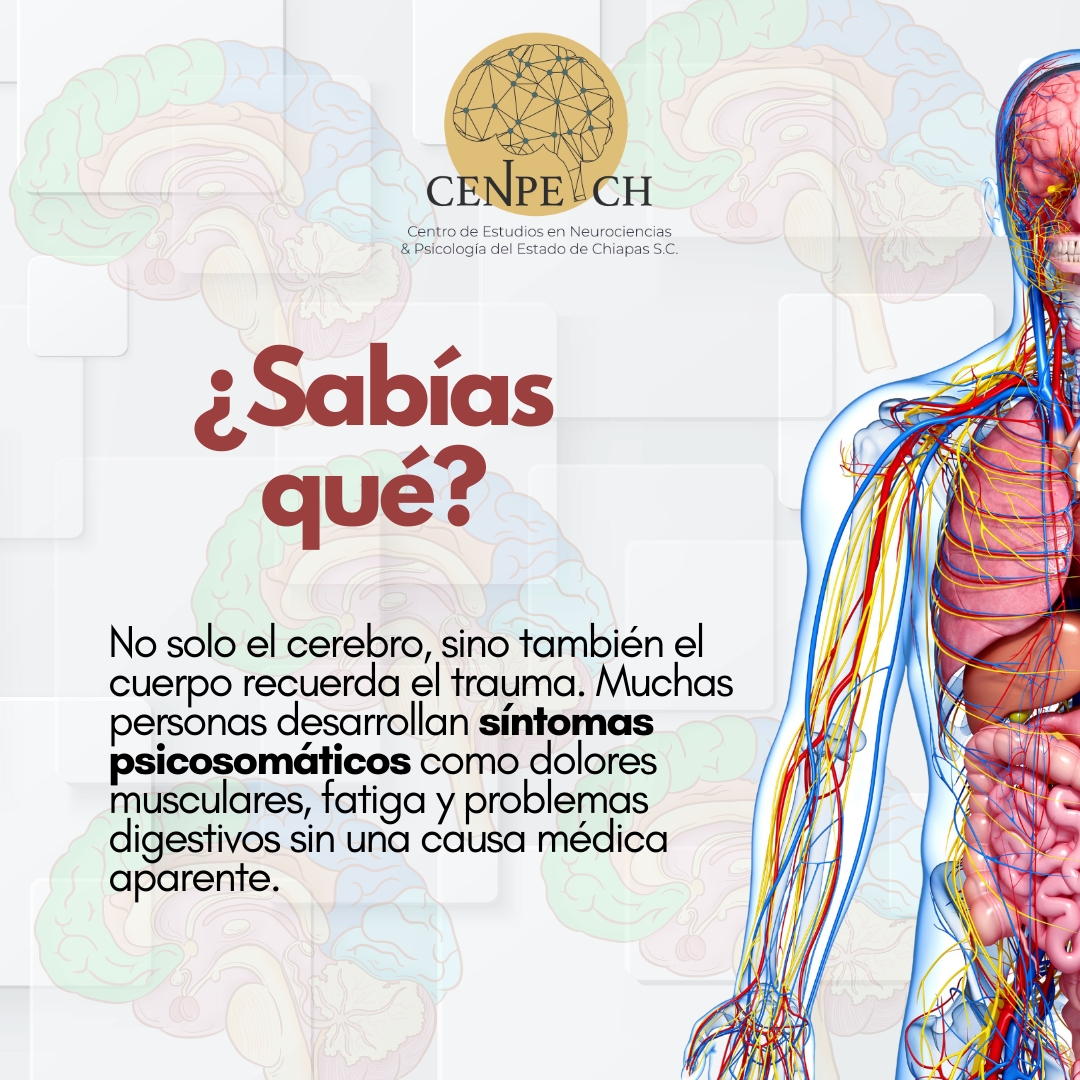 🧠💥 ¿Sabías que...?