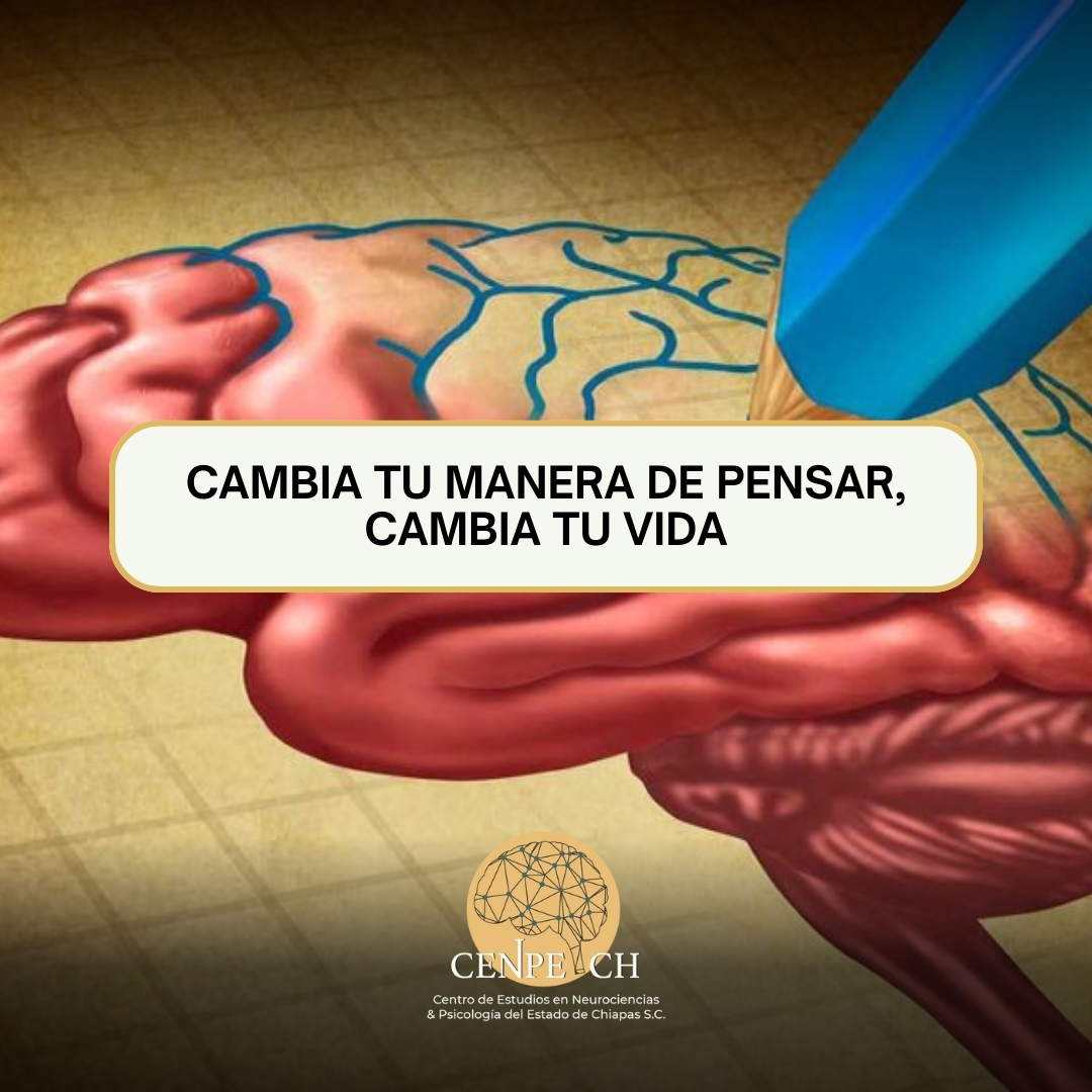 Fotografía 📌¿Sabías que la Terapia Cognitivo-Conductual (TCC) te ayuda a entender cómo piensas, sientes y actúas?