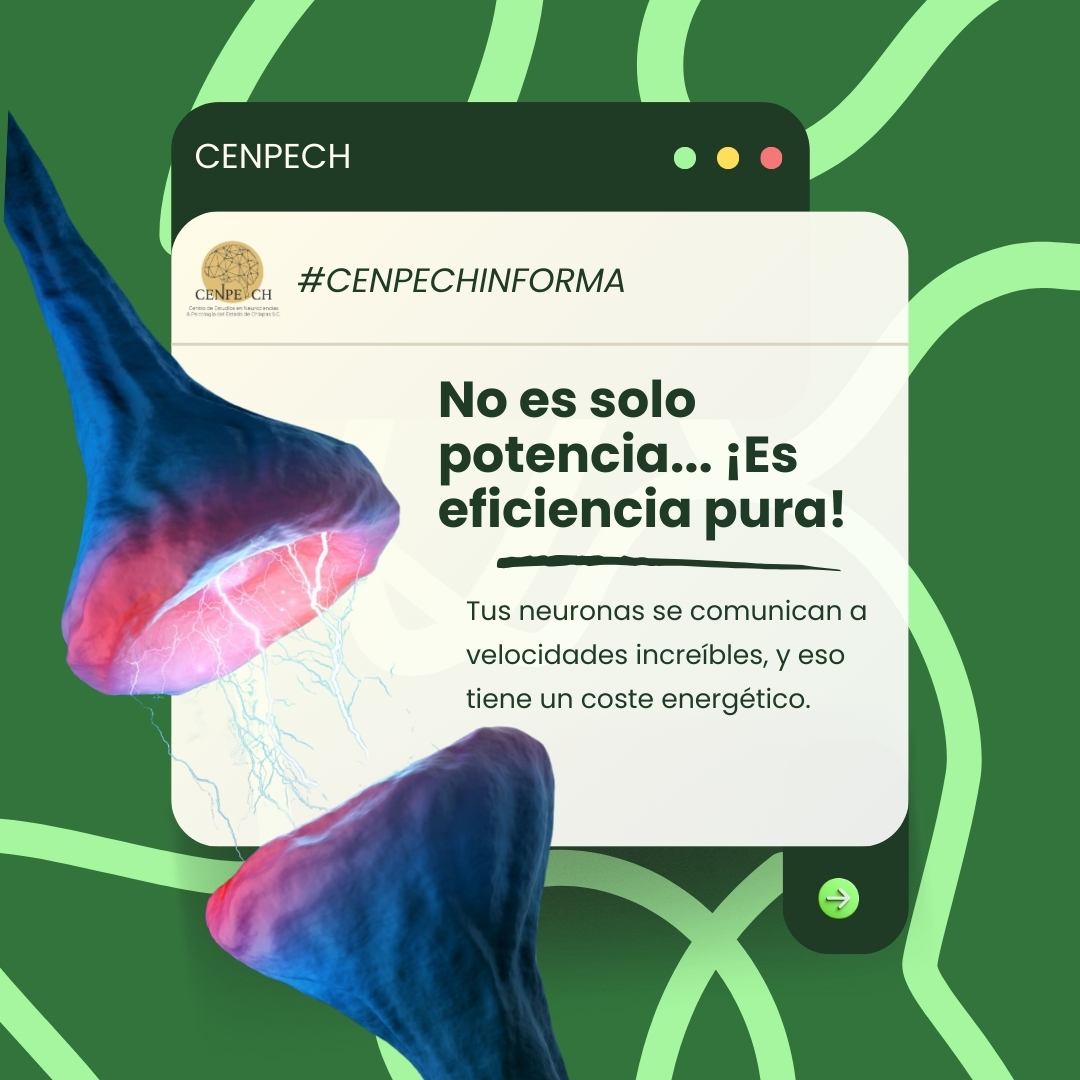 Fotografía 🧠 ¿Sabías que tu cerebro consume más energía que cualquier otro órgano?