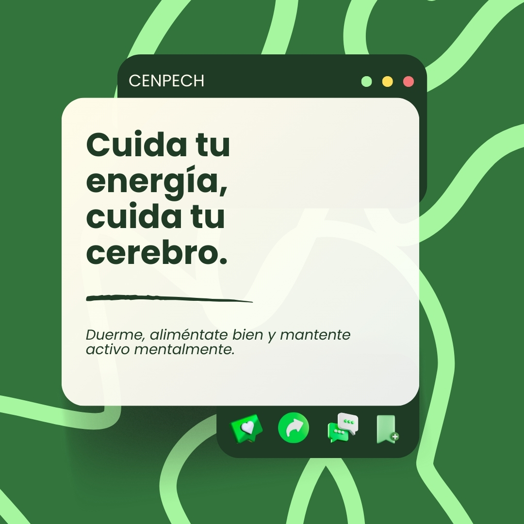 Fotografía 🧠 ¿Sabías que tu cerebro consume más energía que cualquier otro órgano?