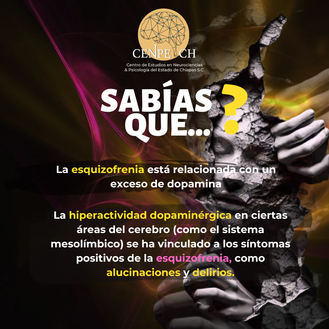 Fotografía Sabías qué...? #Neuropsicología